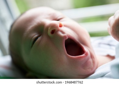 Cute and sleepy newborn baby yawning 