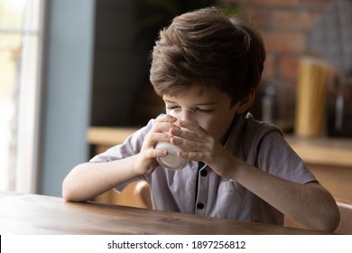 Cute small Caucasian boy child sit at table in kitchen enjoy diet wholegrain organic milk getting calcium and vitamins. Little kid drink lactose free yoghurt from glass. Children healthcare concept.