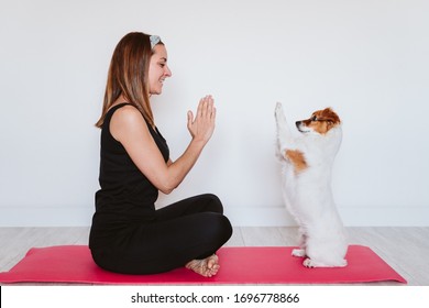 cute small jack russell dog doing yoga on a mat at home with her owner. Healthy lifestyle indoors - Powered by Shutterstock