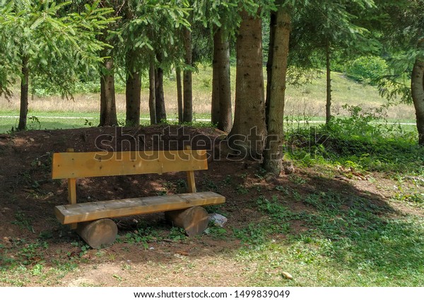 Cute Small Wooden Sitting Bench Green Stock Photo Edit Now