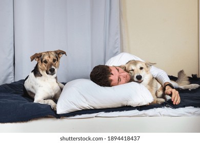 Cute smiling young man lying with two dogs on bed covered blue blanket and looking at camera.