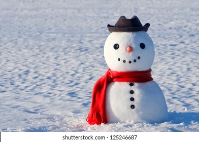 cute snowman on snowy field - Powered by Shutterstock