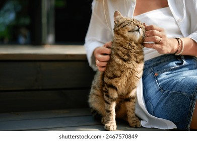 cute striped domestic cat basks in the sun sitting on a ladder step, light-skinned woman's hands pet a brown-striped house cat who smiles like the Cheshire Cat - Powered by Shutterstock