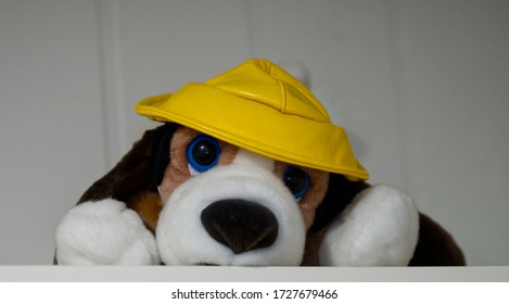 A Cute Stuffed Animal On A Shelf With A Yellow Rain Hat