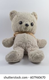 Cute Stuffed Bear