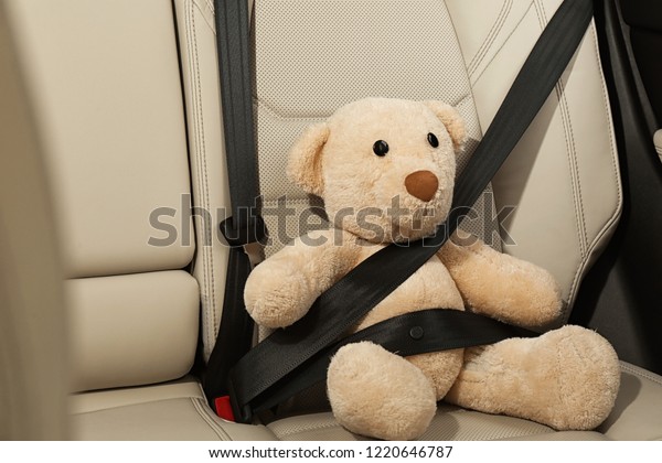 Cute stuffed\
toy bear buckled in backseat of\
car
