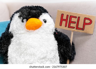 Cute stuffed toy in the shape of penguin with handmade sign with inscription HELP, front view. Call for help to endangered and suffering wild animals due to destruction of their habitat