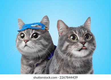 Cute surprised animals on light blue background. Tabby cats with big eyes