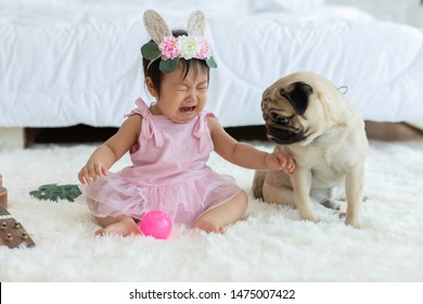 Cute Sweet Adorable Asian Baby Wearing Pink Dress Sitting On White Carpet Crying With Dog Pug Breed Friendly In Cozy Bedroom,Dog With Baby Concept