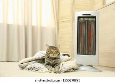 Cute Tabby Cat Near Electric Infrared Heater At Home