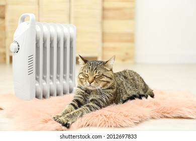 Cute Tabby Cat Near Electric Heater At Home