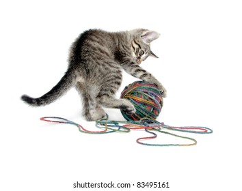 Cute tabby cat playing with a ball of yarn on white background