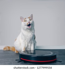 Cute Tabby Cat Sitting Behind A Robot Vacuum Cleaner And Looking  Funny.