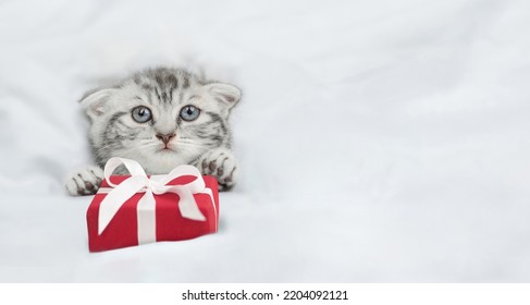 Cute Tabby Kitten Lying Under White Blanket And Holding A Gift Box. Top Down View. Empty Space For Text