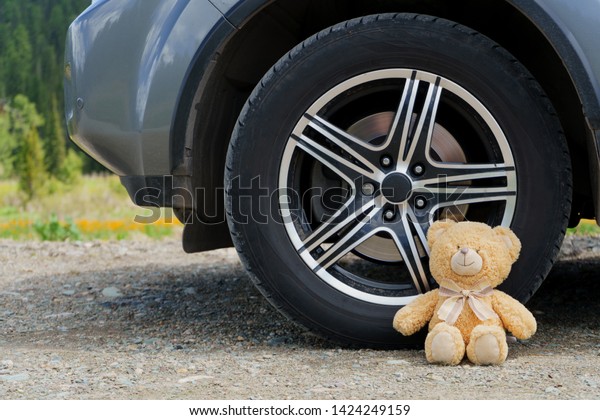 cute teddy bear and\
car