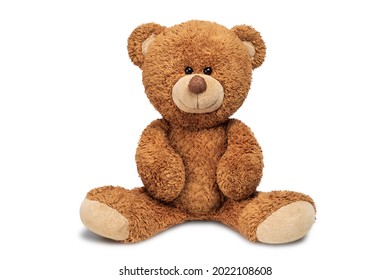 bear PNG transparent image download, size: 4000x3097px