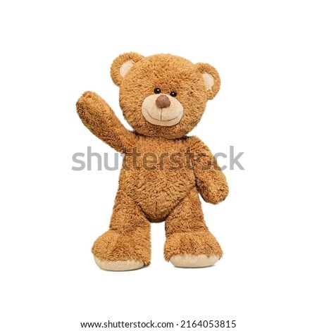 Cute teddy bear isolated on white background.