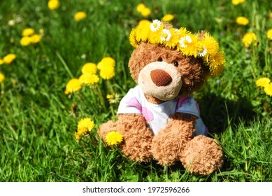 Cute Teddy Bear Sitting On A Field Of Flowers With Dandelion Crown