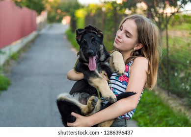 犬 抱っこ の写真素材 画像 写真 Shutterstock