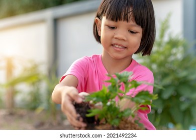 A Cute Thai Kid Girl, Aged 4 To 6 Years Old, Is Putting Black Soil In Bags For Planting Seedlings. Planting Trees Is Learning Outdoors, Outside Of The Classroom, Making Her Have Fun And Smile.