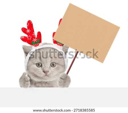 Cute tiny kitten dressed like santa claus reindeer  Rudolf holding blank placard in it paw, showing thummbs up gesture and looking above blank white banner. isolated on white background