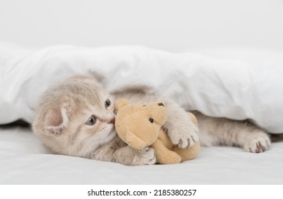 Cute Tiny Kitten Hugs Favorite Toy Bear Under White Warm Blanket On A Bed At Home