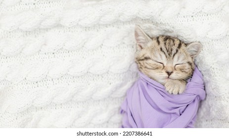 Cute Tiny Kitten Wrapped Like A Baby, Sleeps On A Bed. Top Down View