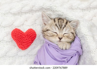 Cute Tiny Kitten Wrapped Like A Baby, Sleeps With Red Heart On A Bed. Top Down View