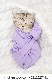 Cute Tiny Kitten Wrapped Like A Baby, Sleeps On A Bed. Top Down View