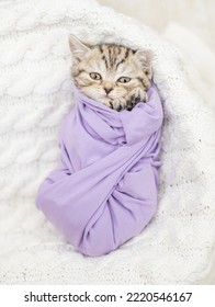 Cute Tiny Kitten Wrapped Like A Baby, Lying On A Bed. Top Down View