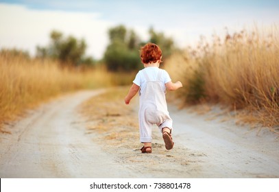 Cute Toddler Baby Boy Running Away Along The Path At Summer Field