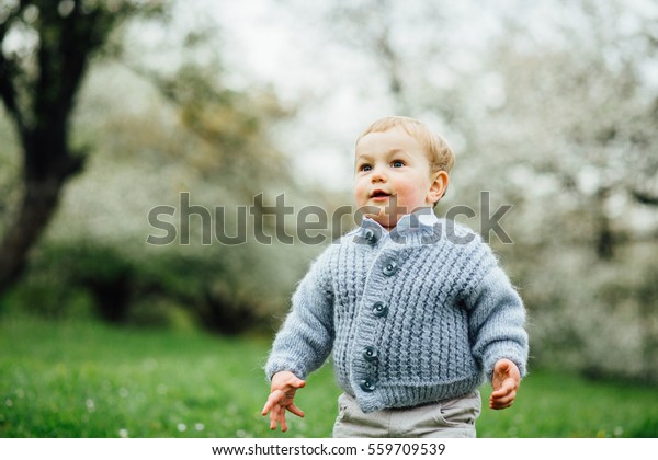 Cute Toddler Boy Blue Eyes Blonde Stock Photo Edit Now 559709539