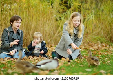 Cute Toddler Boy And His Two Older Sisters Feeding Ducks On Autumn Day. Children Feeding Birds Outdoors. Autumn Activity For Little Kids.