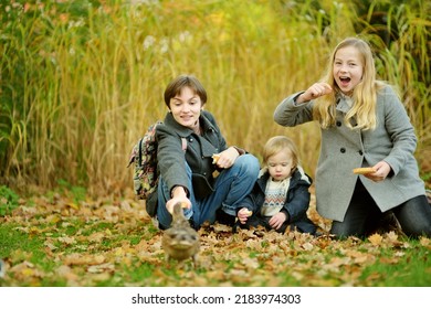 Cute Toddler Boy And His Two Older Sisters Feeding Ducks On Autumn Day. Children Feeding Birds Outdoors. Autumn Activity For Little Kids.