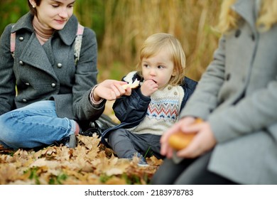 Cute Toddler Boy And His Two Older Sisters Feeding Ducks On Autumn Day. Children Feeding Birds Outdoors. Autumn Activity For Little Kids.