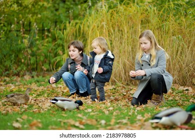 Cute Toddler Boy And His Two Older Sisters Feeding Ducks On Autumn Day. Children Feeding Birds Outdoors. Autumn Activity For Little Kids.