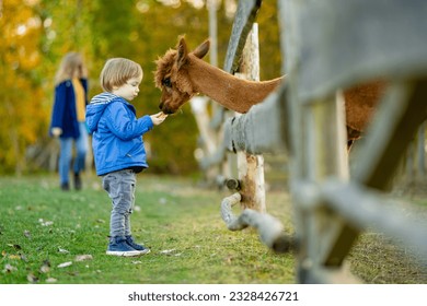 Cute toddler boy looking at an alpaca at a farm zoo on autumn day. Children feeding a llama on an animal farm. Kids at a petting zoo at fall. Active leisure children outdoor.