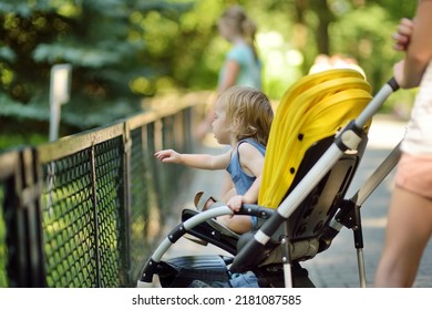 Cute toddler boy in a stroller watching animals at the zoo on warm and sunny summer day. Child admiring zoo animals. Family time at zoo.