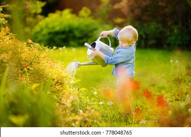 Cute Toddler Boy Watering Plants In The Garden At Summer Sunny Day