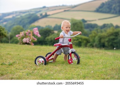 Cute Toddler Child, Boy, Playing With Tricycle In Backyard, Kid Riding Bike