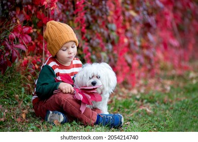 Cute toddler child with leaves, sitting in autumn park with his pet dog