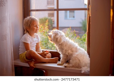 Cute toddler child, sitting with pet dog on the window on sunset at home - Powered by Shutterstock