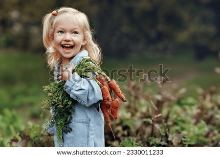 Cute toddler smiling blond girl in blue outfits holding a bunch of fresh organic carrots. Child harvesting vegetables in a garden. Fresh healthy food for small kids. Family nutrition in summer