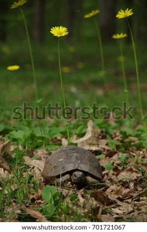 Similar – Foto Bild Aufbruchsstimmung Sommer