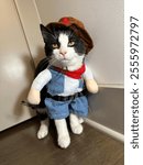 Cute tuxedo cat in cowboy Halloween costume 