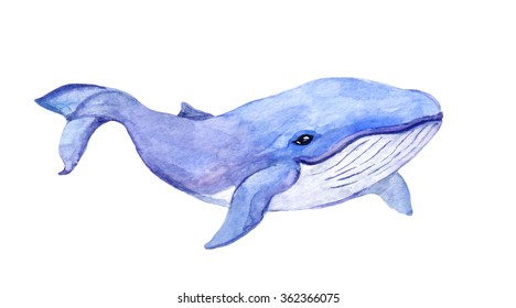 Watercolor Whale Images, Stock Photos & Vectors 