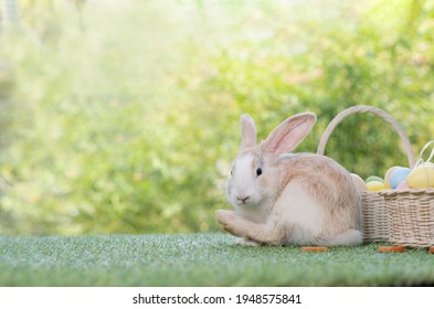 A Cute White Brown Rabbit Sitting Beside Easter Eggs Basket And Lifting Her Front Legs Up Together And Lokking At Camera With Green Bokeh Garden Bacground And Copy Space.