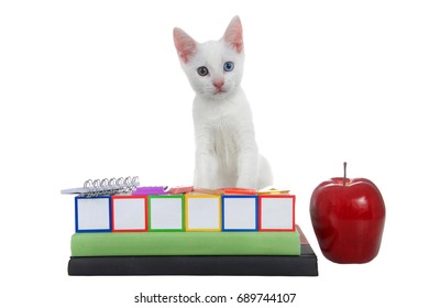 Cute White Kitten With Heterochromia Eyes Standing On Colored Building Blocks, Blank, Stacked On Text Books With Spiral Bound Notebook, Rule, Compass, Calculator And An Apple. 