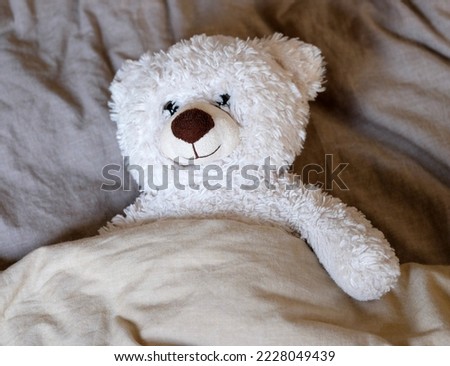 Cute white teddy bear lying in bed