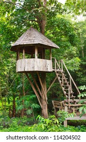 Cute Wooden Tree House For Kids In Tropical Forest